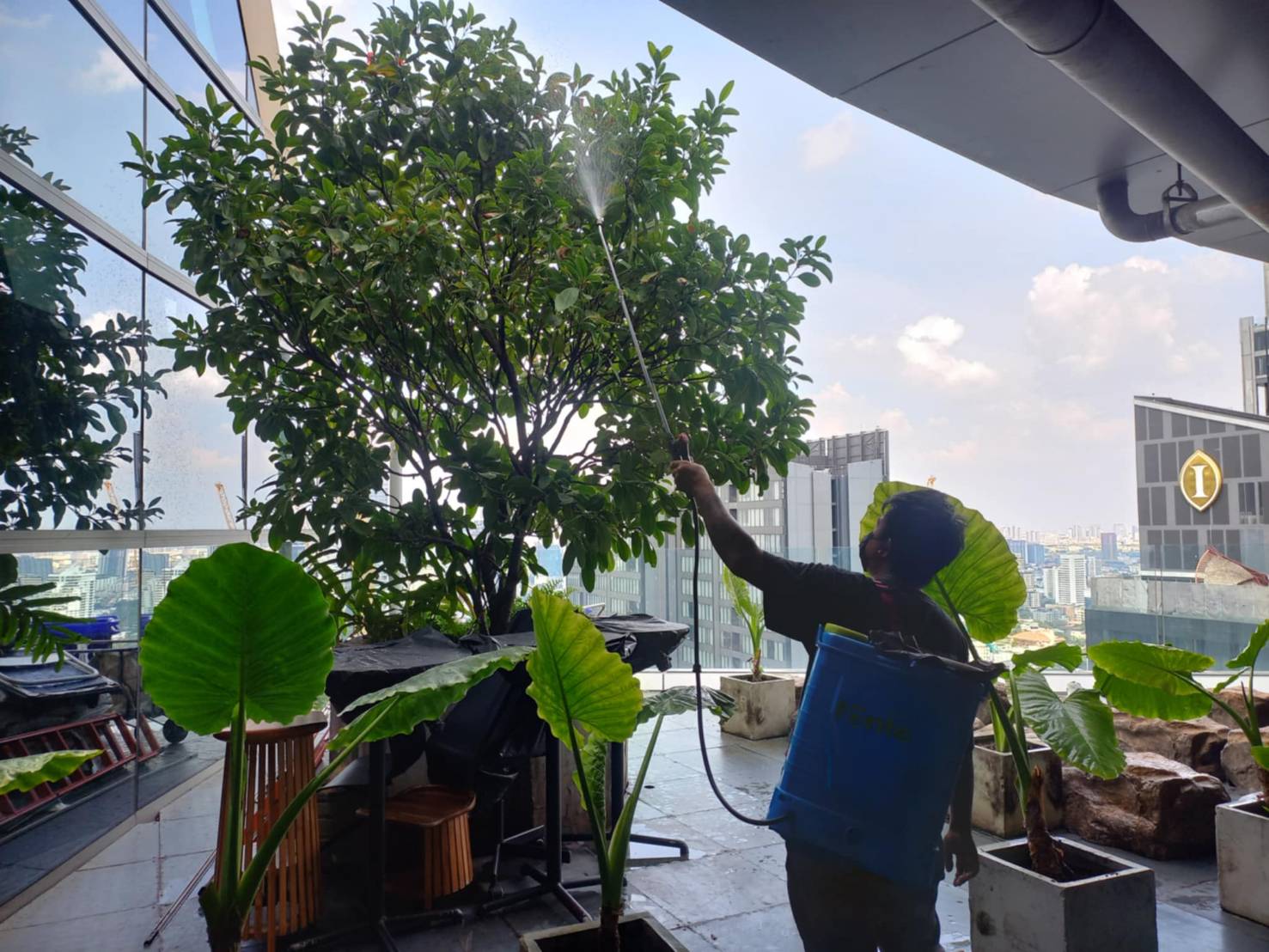 ดูแลสวน T1