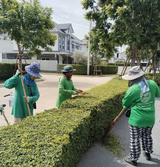 ดูแลสวน SVR แกรนด์109 (สุขุมวิท-บางปู)