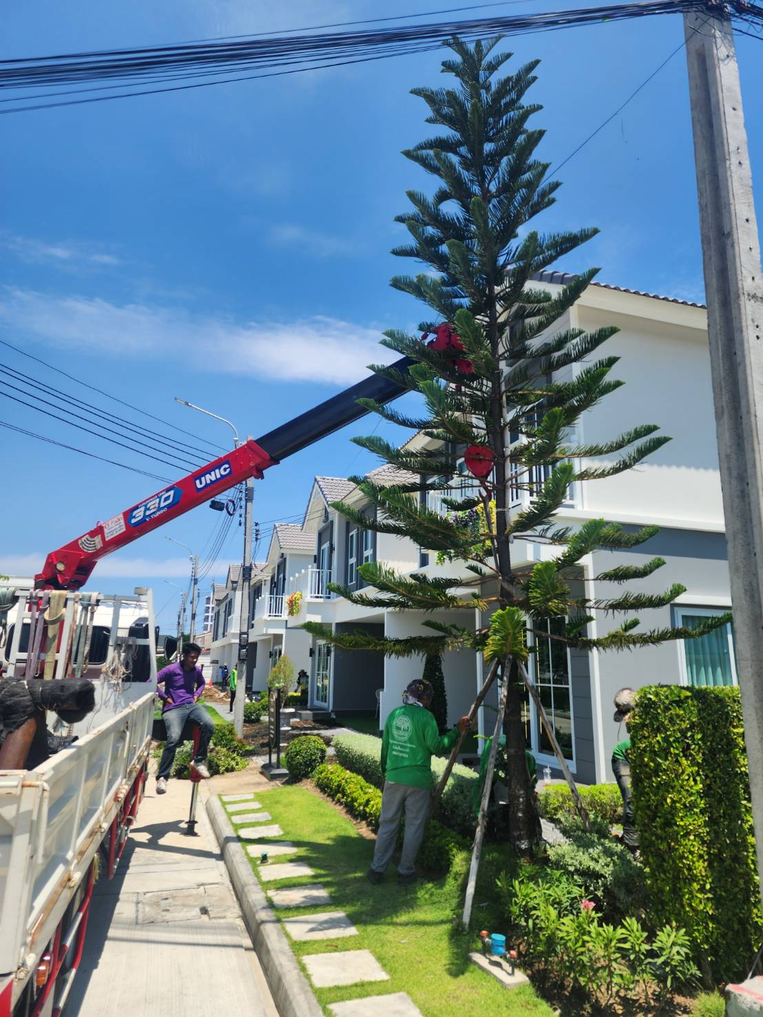 จัดสวน บ้านตัวอย่าง บางปู แลนด์ 58