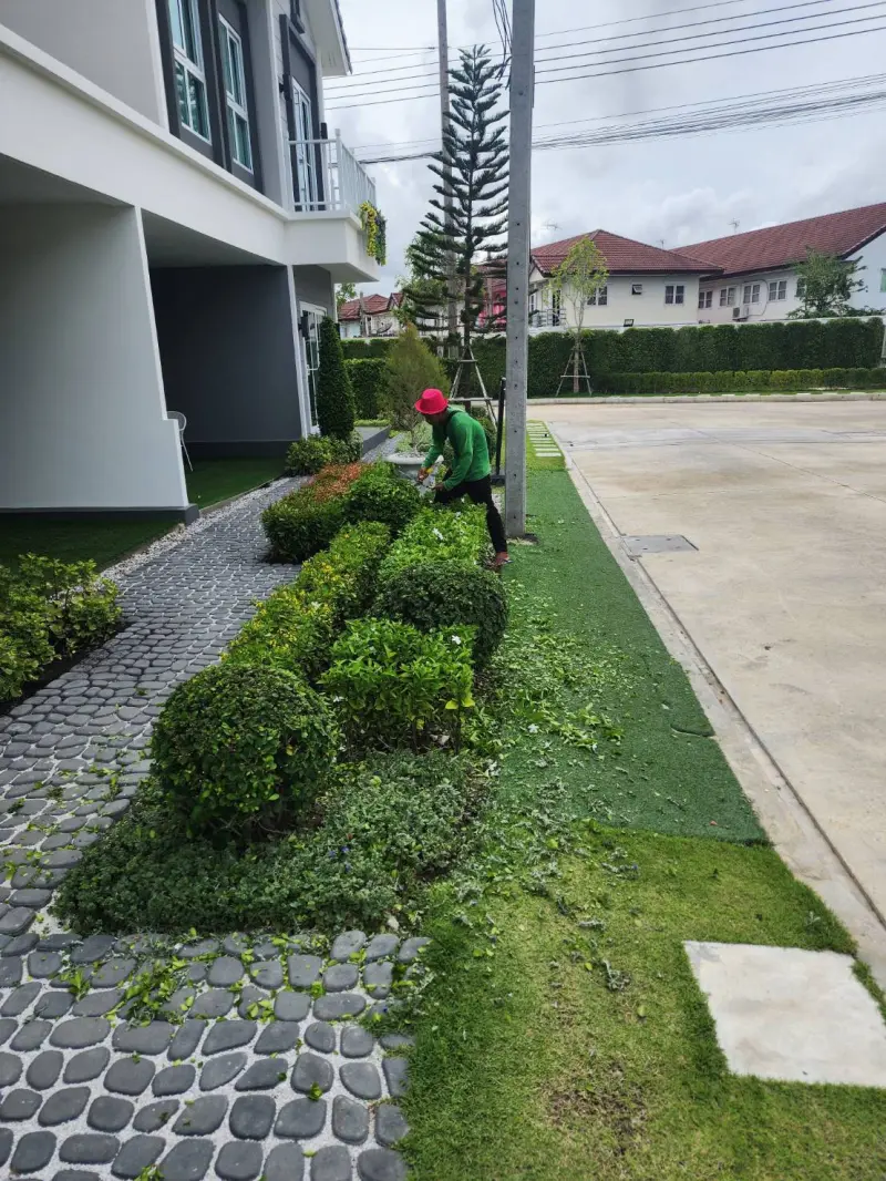 จัดสวน บ้านตัวอย่าง บางปู แลนด์ 58