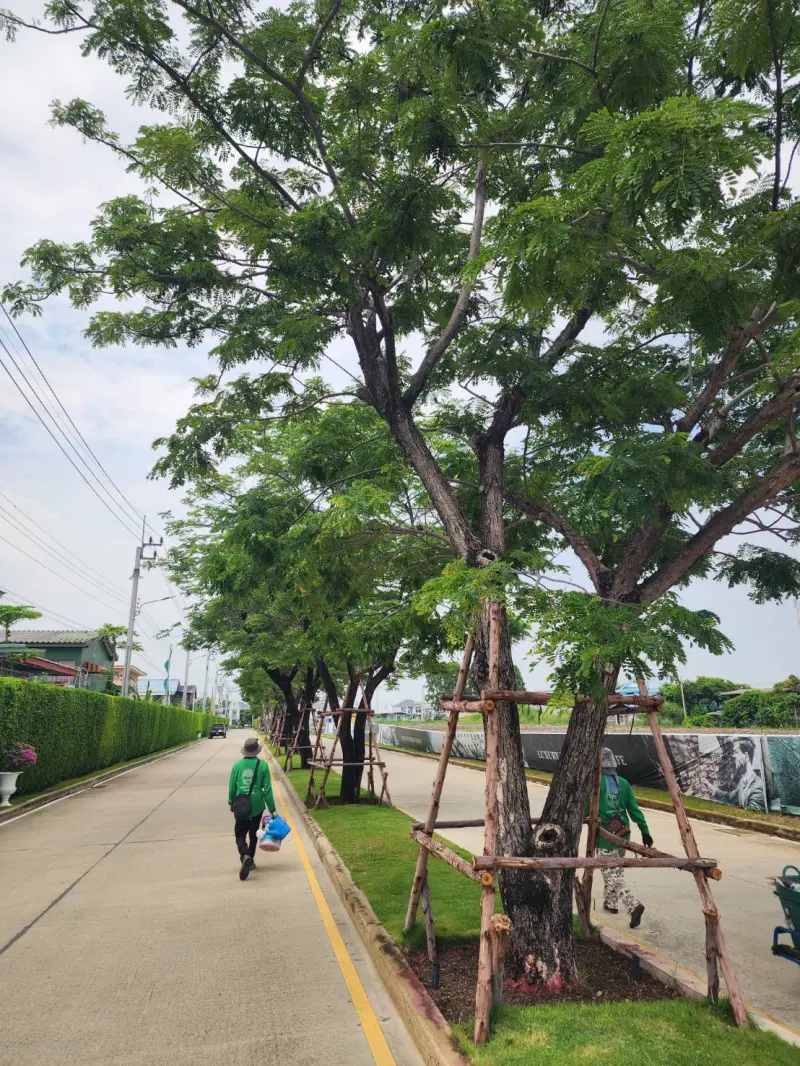ดูแลสวน SVR แกรนด์109 (สุขุมวิท-บางปู)