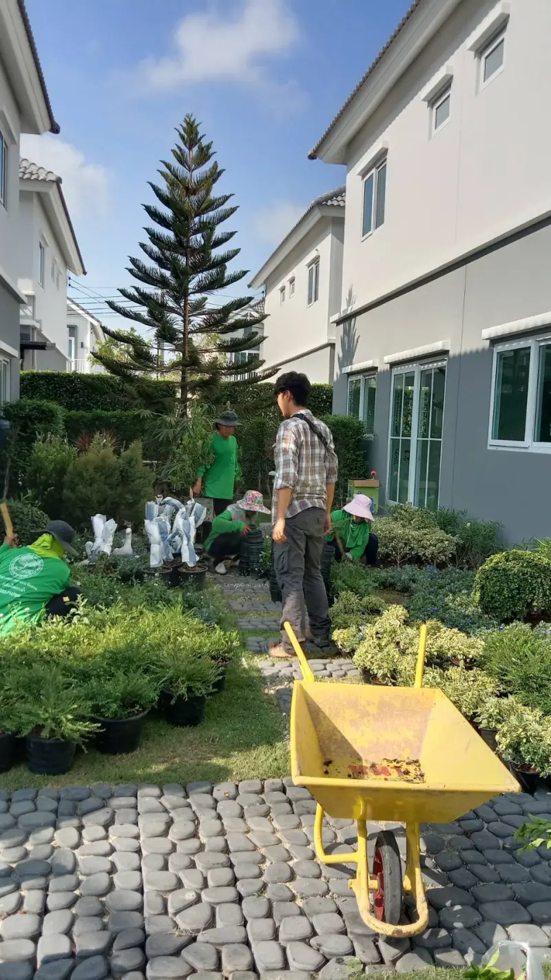 จัดสวน บ้านตัวอย่าง บางปู แลนด์ 58