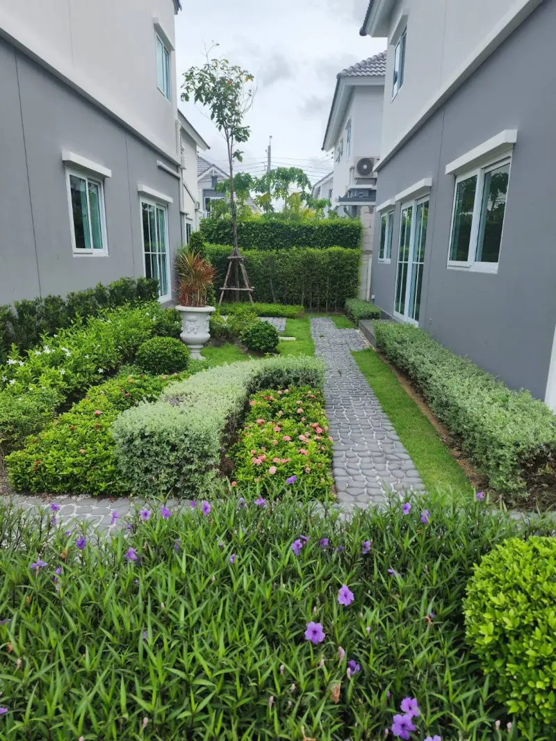จัดสวน บ้านตัวอย่าง บางปู แลนด์ 58