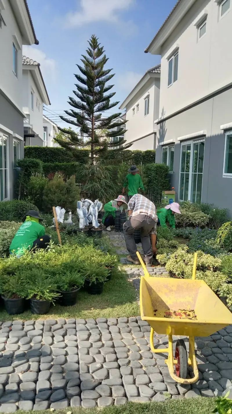 จัดสวน บ้านตัวอย่าง บางปู แลนด์ 58