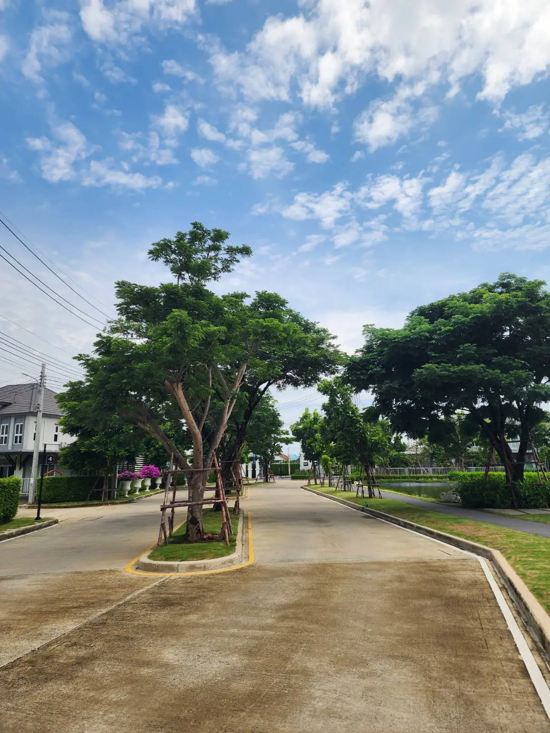 ภาพหน้าปกโครงการ: ดูแลสวน SVR แกรนด์109 (สุขุมวิท-บางปู)